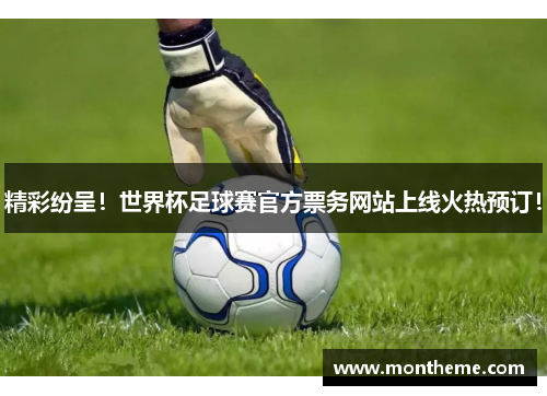 精彩纷呈！世界杯足球赛官方票务网站上线火热预订！